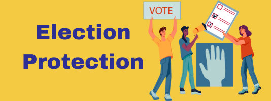 Protect the Vote